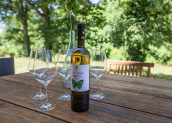 Te koop in Frankrijk