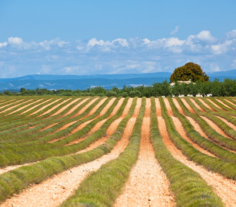 Home For sale in France